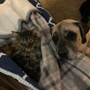 Meet your Posher, Tonya